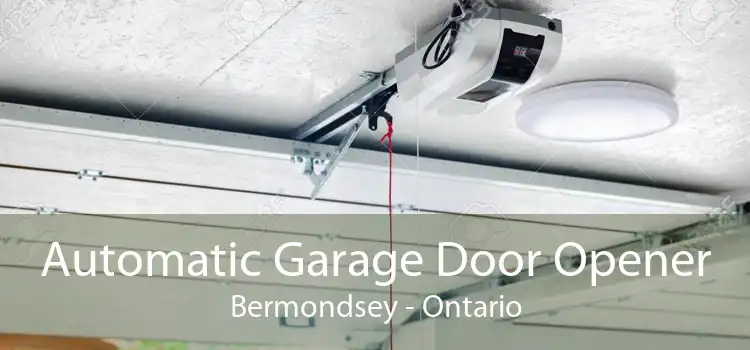 Automatic Garage Door Opener Bermondsey - Ontario