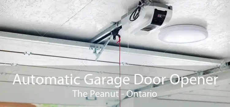 Automatic Garage Door Opener The Peanut - Ontario