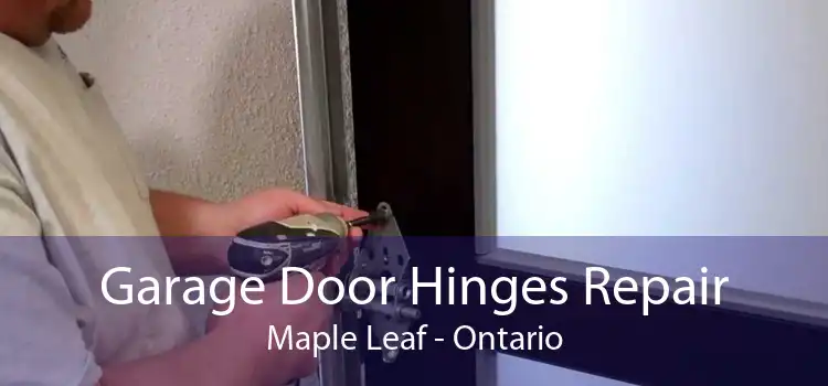 Garage Door Hinges Repair Maple Leaf - Ontario