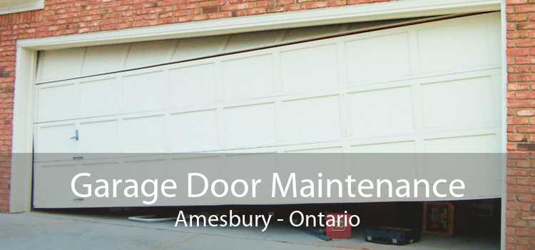 Garage Door Maintenance Amesbury - Ontario