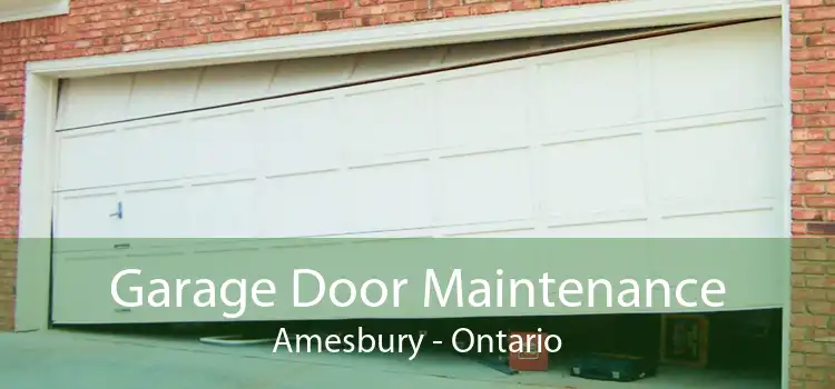 Garage Door Maintenance Amesbury - Ontario