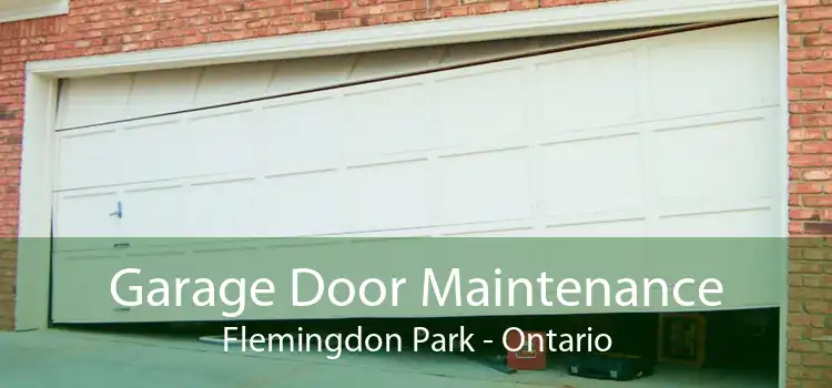 Garage Door Maintenance Flemingdon Park - Ontario