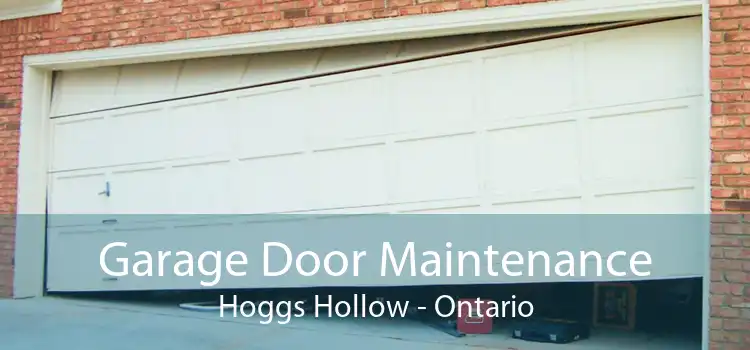Garage Door Maintenance Hoggs Hollow - Ontario