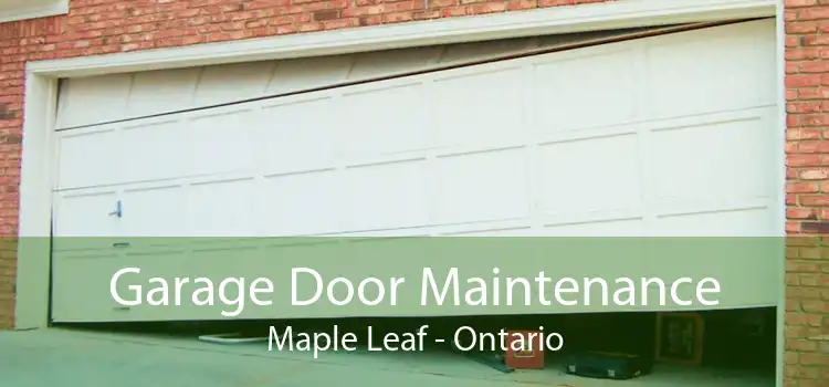 Garage Door Maintenance Maple Leaf - Ontario
