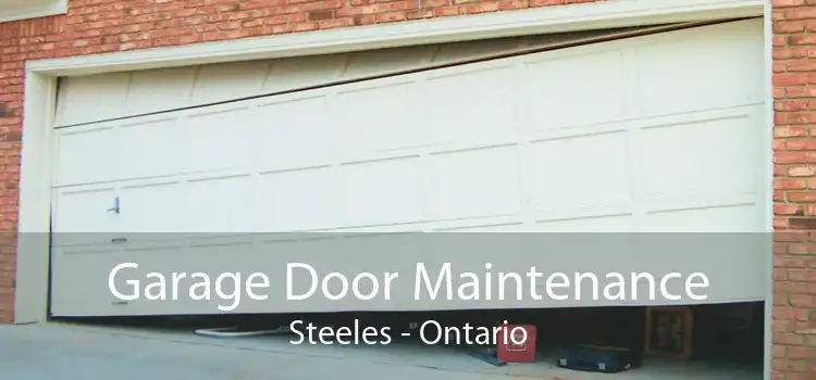 Garage Door Maintenance Steeles - Ontario