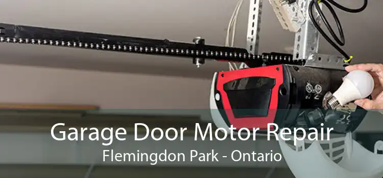 Garage Door Motor Repair Flemingdon Park - Ontario