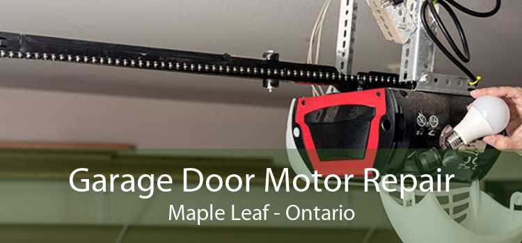 Garage Door Motor Repair Maple Leaf - Ontario