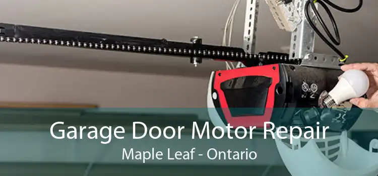 Garage Door Motor Repair Maple Leaf - Ontario
