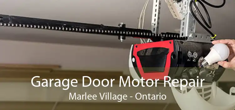 Garage Door Motor Repair Marlee Village - Ontario
