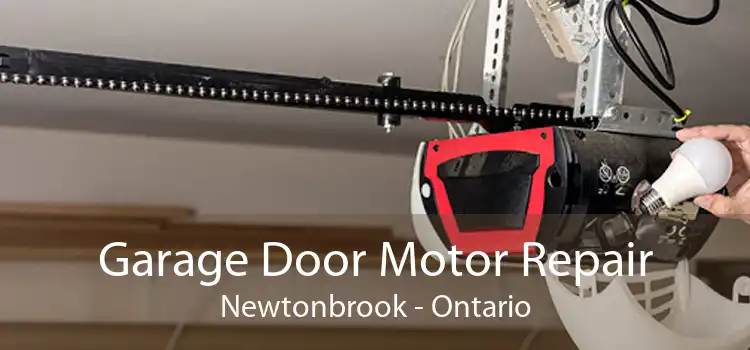Garage Door Motor Repair Newtonbrook - Ontario
