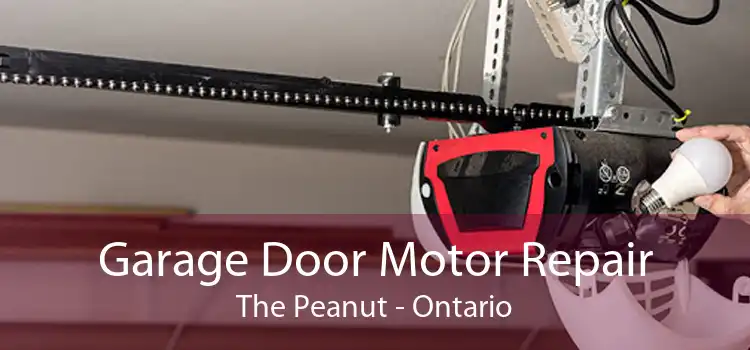 Garage Door Motor Repair The Peanut - Ontario