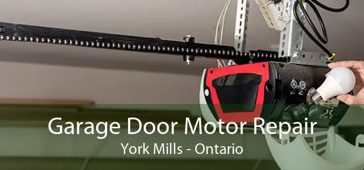 Garage Door Motor Repair York Mills - Ontario