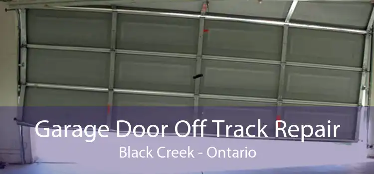 Garage Door Off Track Repair Black Creek - Ontario