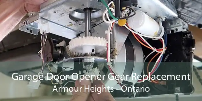 Garage Door Opener Gear Replacement Armour Heights - Ontario