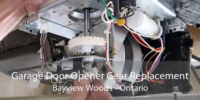 Garage Door Opener Gear Replacement Bayview Woods - Ontario