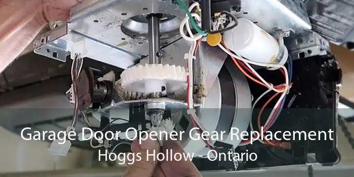 Garage Door Opener Gear Replacement Hoggs Hollow - Ontario