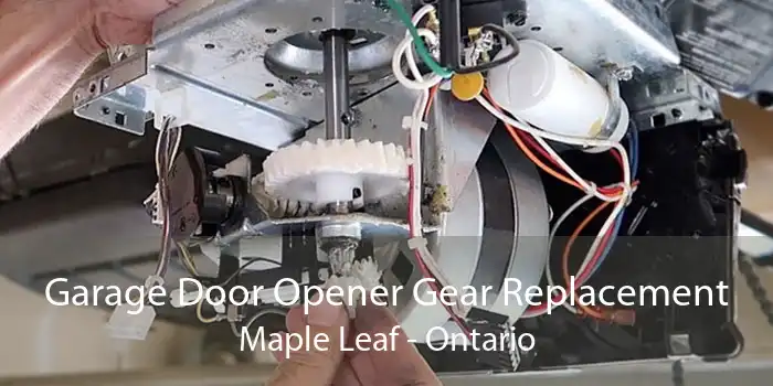 Garage Door Opener Gear Replacement Maple Leaf - Ontario