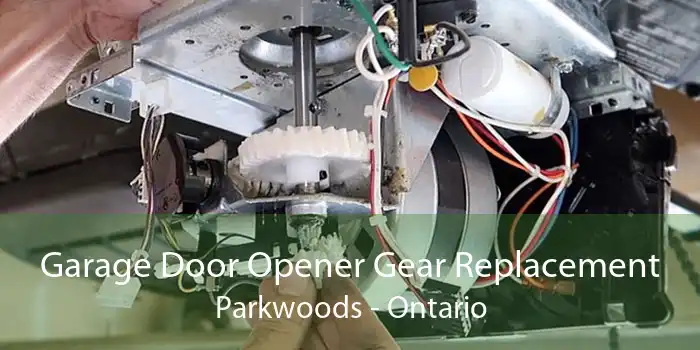 Garage Door Opener Gear Replacement Parkwoods - Ontario
