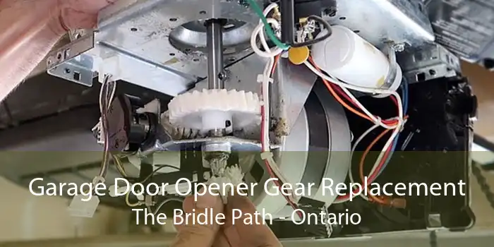 Garage Door Opener Gear Replacement The Bridle Path - Ontario