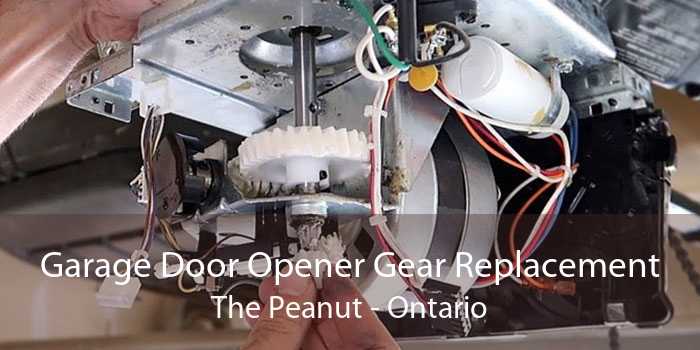 Garage Door Opener Gear Replacement The Peanut - Ontario