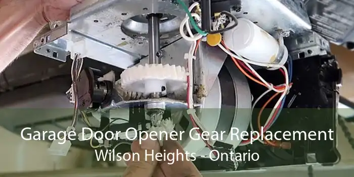 Garage Door Opener Gear Replacement Wilson Heights - Ontario