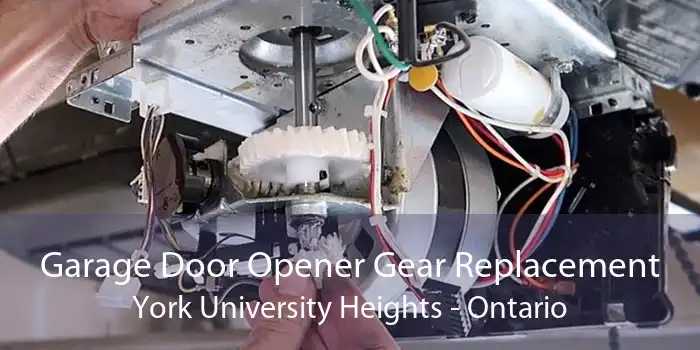 Garage Door Opener Gear Replacement York University Heights - Ontario