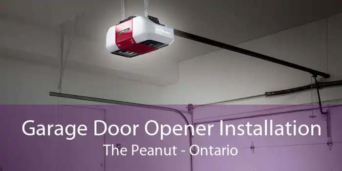 Garage Door Opener Installation The Peanut - Ontario