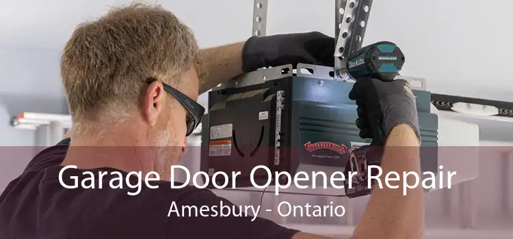 Garage Door Opener Repair Amesbury - Ontario