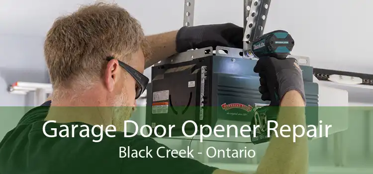 Garage Door Opener Repair Black Creek - Ontario