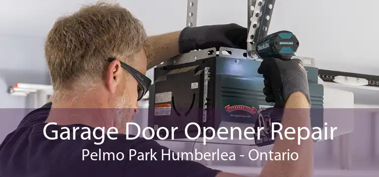 Garage Door Opener Repair Pelmo Park Humberlea - Ontario