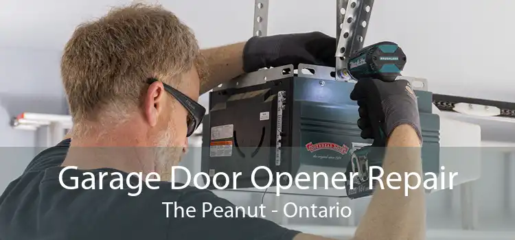 Garage Door Opener Repair The Peanut - Ontario