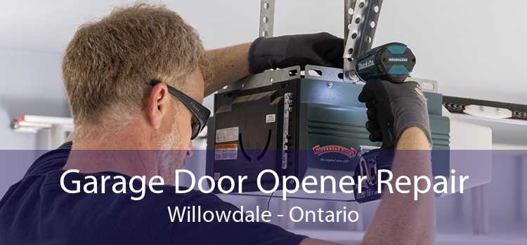 Garage Door Opener Repair Willowdale - Ontario
