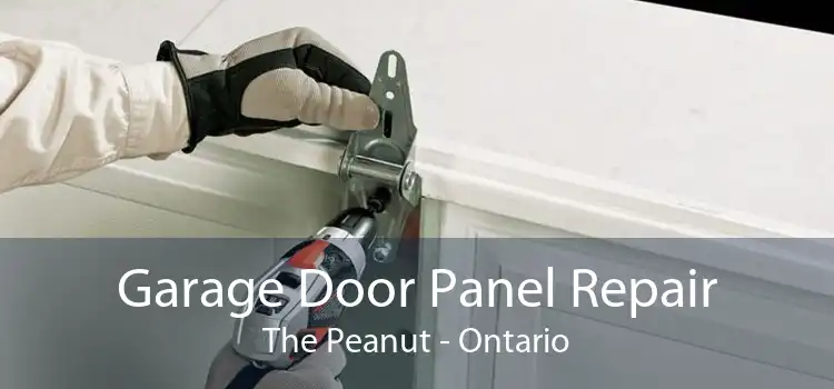 Garage Door Panel Repair The Peanut - Ontario
