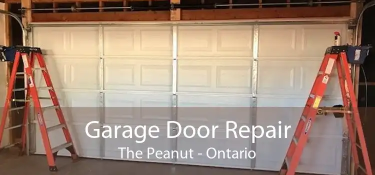 Garage Door Repair The Peanut - Ontario