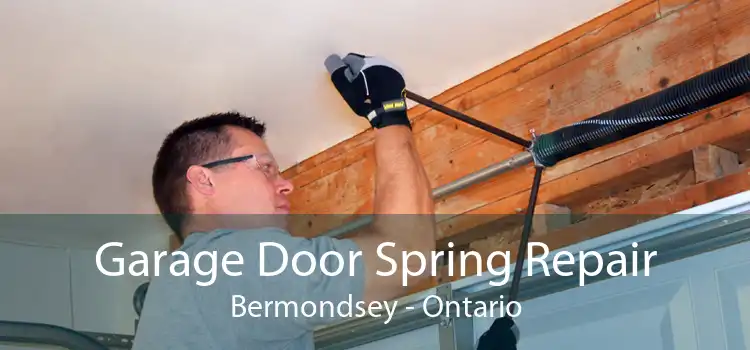 Garage Door Spring Repair Bermondsey - Ontario