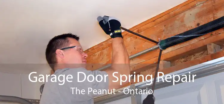 Garage Door Spring Repair The Peanut - Ontario