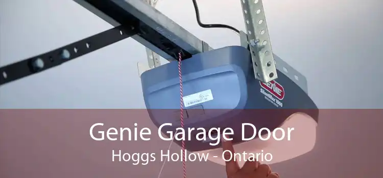 Genie Garage Door Hoggs Hollow - Ontario