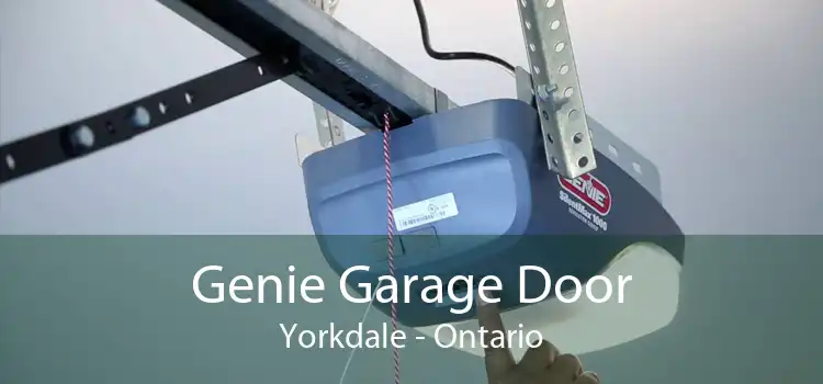 Genie Garage Door Yorkdale - Ontario