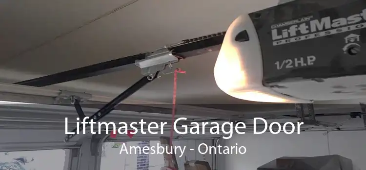 Liftmaster Garage Door Amesbury - Ontario