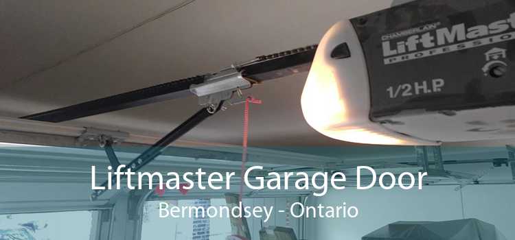 Liftmaster Garage Door Bermondsey - Ontario