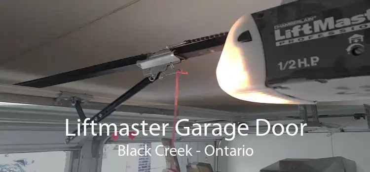 Liftmaster Garage Door Black Creek - Ontario