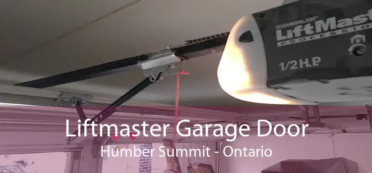 Liftmaster Garage Door Humber Summit - Ontario