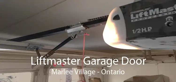 Liftmaster Garage Door Marlee Village - Ontario