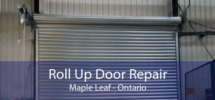 Roll Up Door Repair Maple Leaf - Ontario
