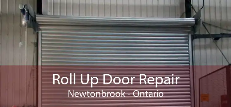 Roll Up Door Repair Newtonbrook - Ontario