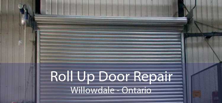Roll Up Door Repair Willowdale - Ontario