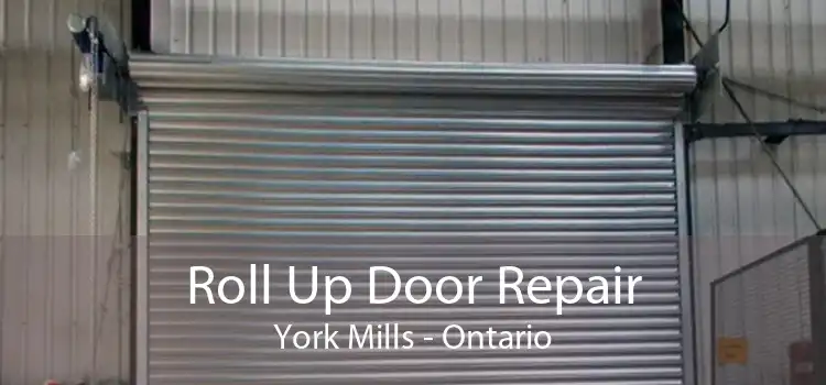 Roll Up Door Repair York Mills - Ontario